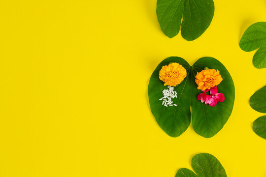 Dussehra greeting cards use apta / Bauhinia racemosa on a yellow background.