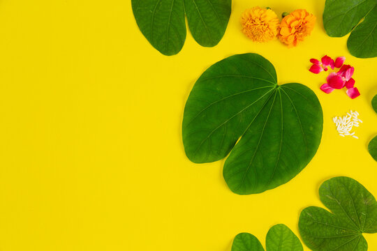 Dussehra greeting cards use apta / Bauhinia racemosa on a yellow background.