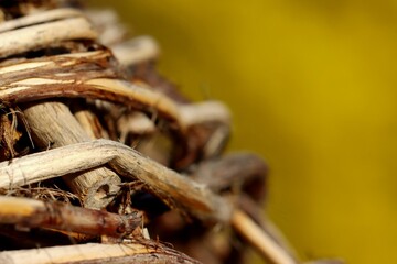 Old dilapidated wicker basket with yellow background. Close up