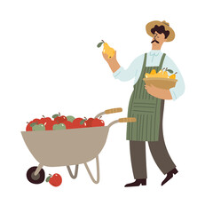 Farmer standing with wheelbarrow and selling apples and pears.