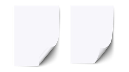 White blank sheet paper with curled corner and shadow, paper mockups