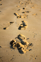 Empreintes sable