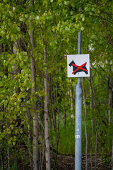 A vertical shot of a sign stating no dogs allowed in the middle of trees.