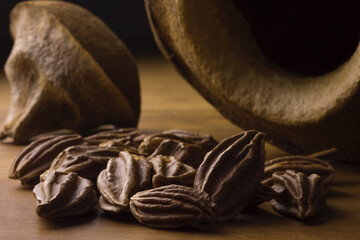 BrazilianBrazilian Lecythis pisonis nuts in wood background Lecythis pisonis seeds and fruits isolated in white background