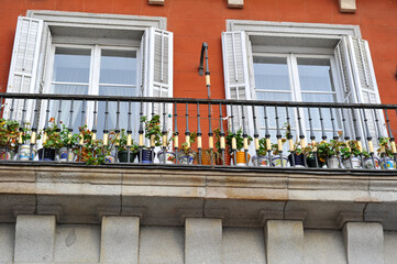 Old vintage windows with house plant on balcony