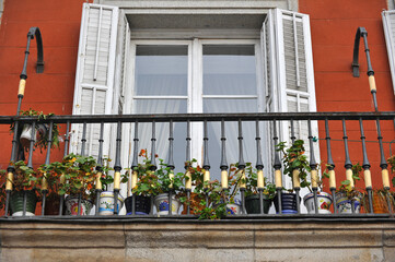 Fototapeta na wymiar Old vintage windows with house plant on balcony