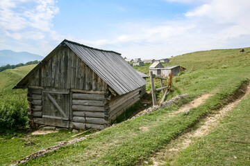Old small houses in front of the woodland. Journey in the Carpathians mountains, Ukraine