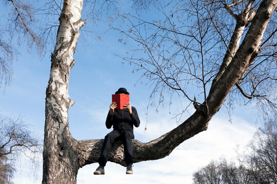 Man sitting in tree reading book