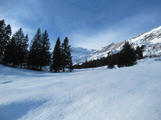 Fototapeta na wymiar Snowy winter scene near Winteregg, Murren, Switzerland