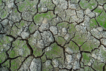 dry cracked earth