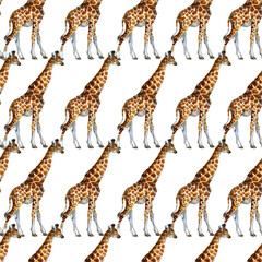 seamless patterns with giraffes. jungle nature watrcolor illustration.