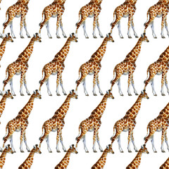 Obraz premium seamless patterns with giraffes. jungle nature watrcolor illustration.