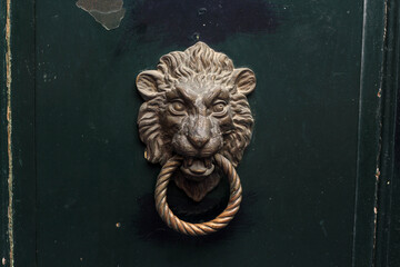 lion door knocker