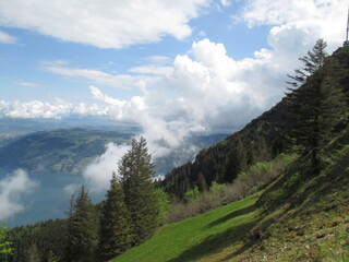Fototapeta na wymiar Mt. Rigi and Lake Zug, Siwtzerland