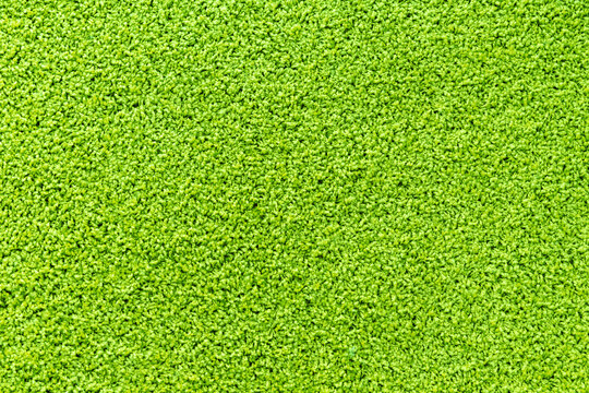Texture of the green carpet with soft pile. Carpet background.