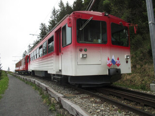 Fototapeta na wymiar A train makes it's way down Mt. Rigi, Lucerne, Switzerland
