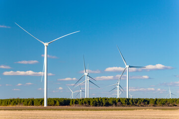 Windmills Wind Turbines in a Field with a Blurry Foreground