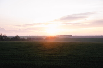beautiful sunset over the green field