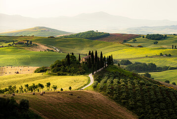 Scenic Tuscany landscape in golden morning light, Val d'Orcia, Italy