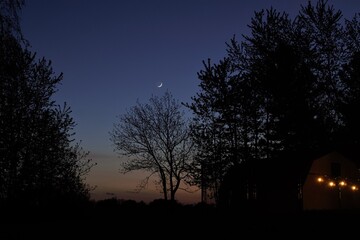 Crescent moon and sunset over trees