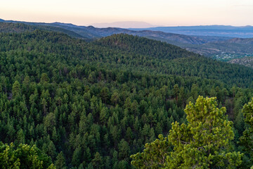Fototapeta premium A landscape of forest and mountains during sunrise in the New Mexico Rocky Mountains