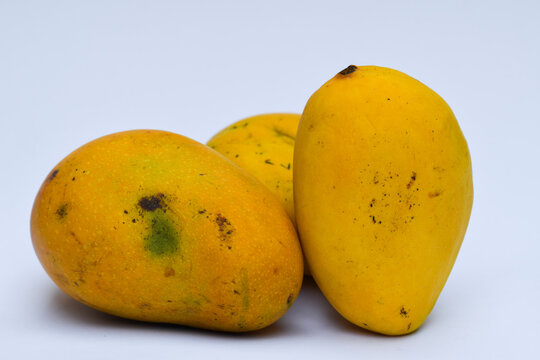 Fresh Badam / Badami Mangoe variety from India, Andhrapradesh karnataka south states. Aromatic flavour delicious organic. South india tropical exotic seasonal fruit