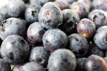 pile of blueberries
