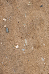 beach sand, stones, and pebbles background vertical