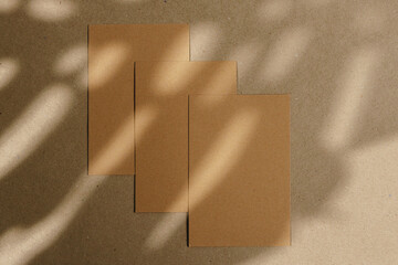 Envelopes on cork board with leaf shadow