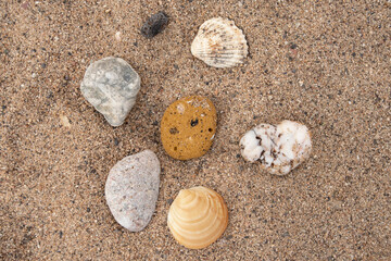 beach detail with sand, rocks, and seashells horizontal
