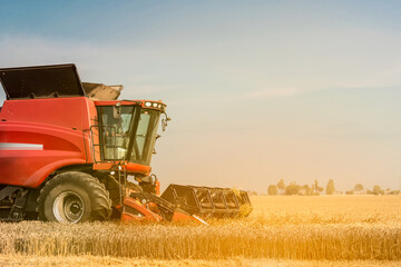 Fototapeta premium Red combine harvester is working during harvest time in the farmer’s fields, machine is cutting grain plants , agriculture concept