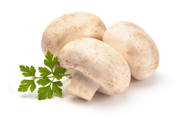 Champignon mushrooms, isolated on white background