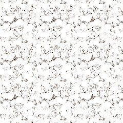 wildflowers natural vector seamless pattern