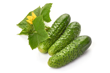 Fresh cucumbers, isolated on white background
