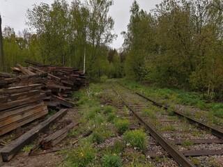railway rails linear perspective forest trees sleepers