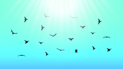 Blue Sky Background Silhouette With Birds Nature