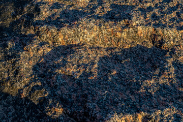 beautiful stone on the beach