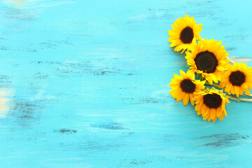 Top view image of sunflowers over blue wooden background