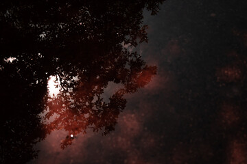 summer day time reflect on the water beautiful abstract background red and  black