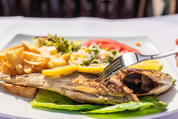 Grilled dorado fish with salad and fried potatoes on a plate