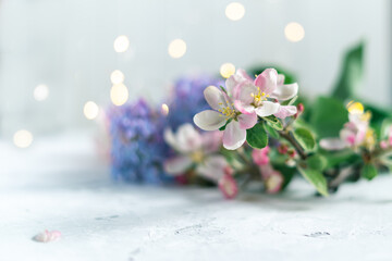 Beautiful pink and lilac flowers on blurred light background with lights. Spring floral background with space for text.