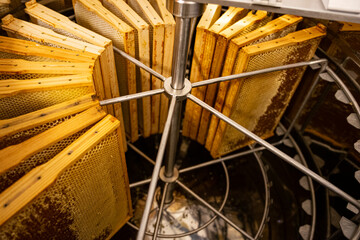 golden honey harvest with hands 