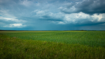 Fototapeta na wymiar green field and cloudy sky