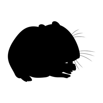 1 787 Best Hamster Silhouette Images Stock Photos Vectors Adobe Stock