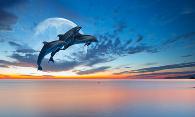 Silhoutte of beautiful dolphin jumping up from the sea at sunset with full moon "Elements of this image furnished by NASA "