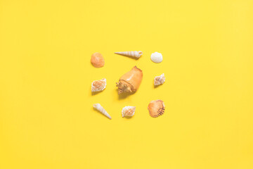 Summer flat lay. Shells of various kinds on a yellow background. Seashells on a pastel background. Vacation concept, free space for text.