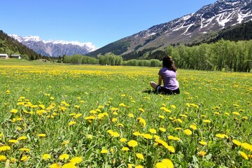 Fototapeta na wymiar Meadow of dandelion mountain switzerland with girl Campra Olivone Ticino