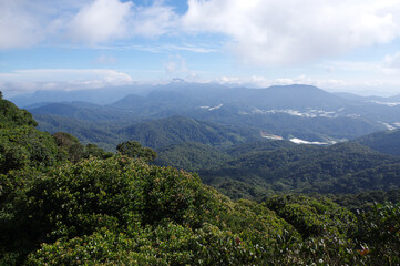 Fototapeta na wymiar vue sur les Cameron Highlands, État de Pahang, Malaisie