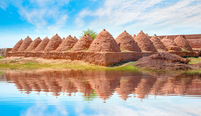 Harran beehive adobe houses - Urfa, Turkey