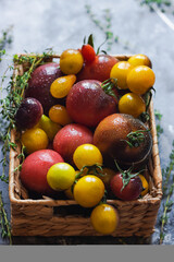 yellow and red cherry tomatoes with thyme in straw basket on dark table